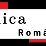 Bunuri mobile valorificate prin licitatie