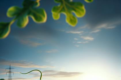 test publicare executor